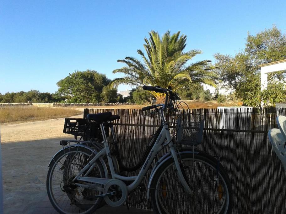 サン・フランセスク・ハヴィエルにあるSa Figueraの柵の横に自転車が停まっている