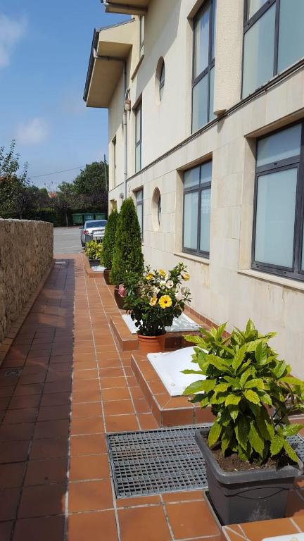 A garden outside Hotel Zabala