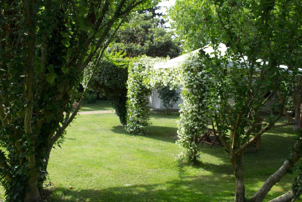 A garden outside Podere Chiusa Grande