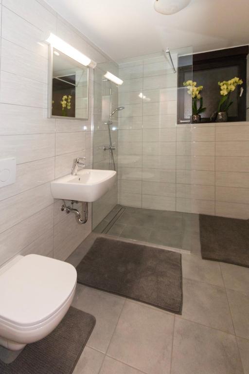 Koupelna v ubytování Apartma Spaans
