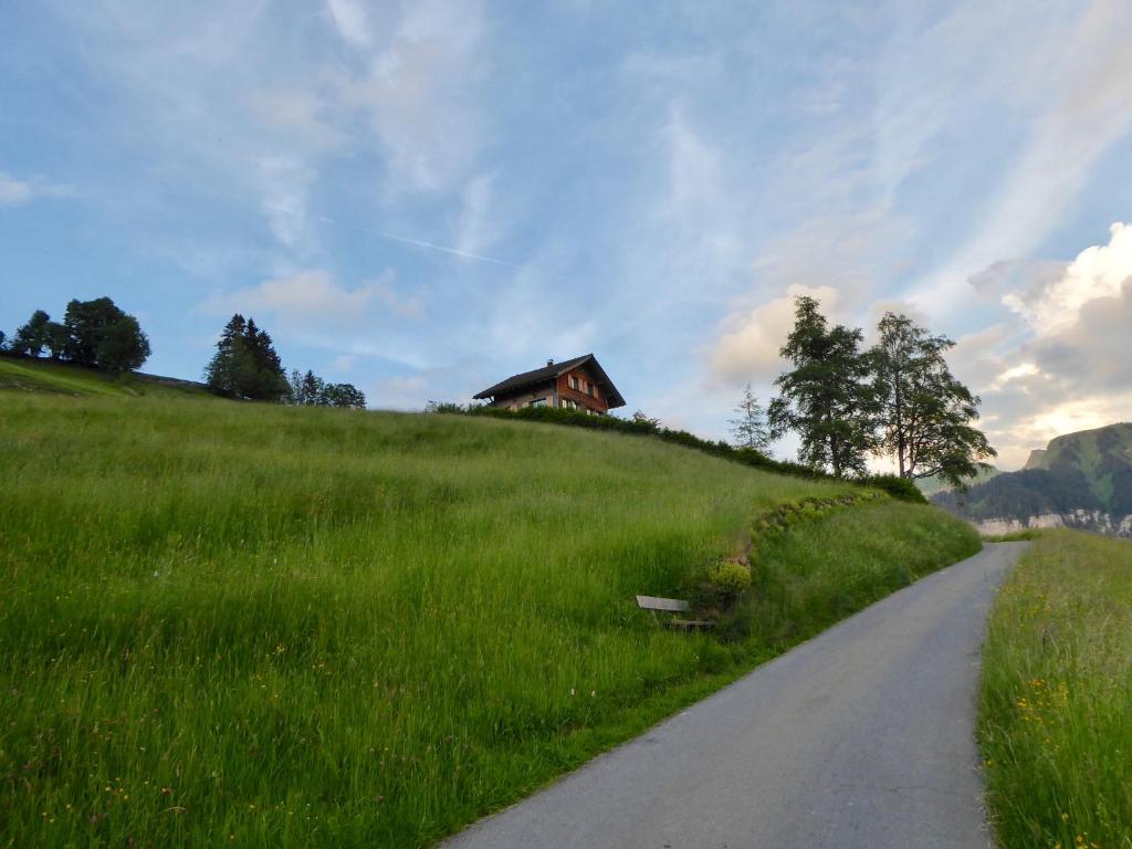 Příroda nedaleko apartmánu