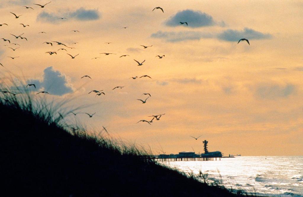 Strandhotel Scheveningen - Resim 41