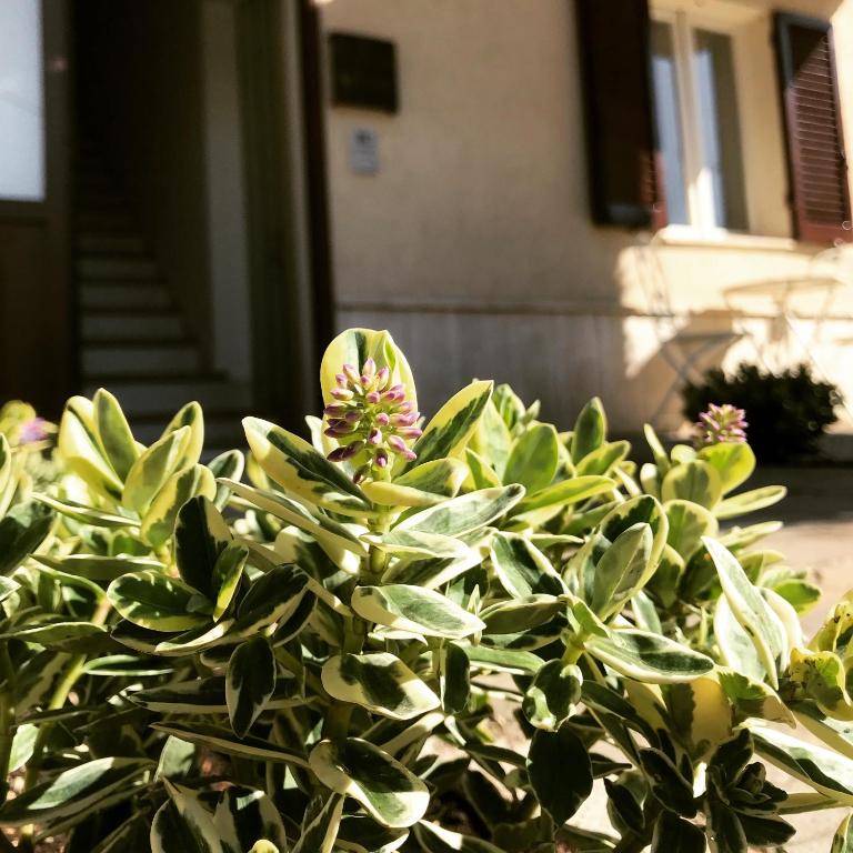 Zahrada ubytování Le Campane di Assisi