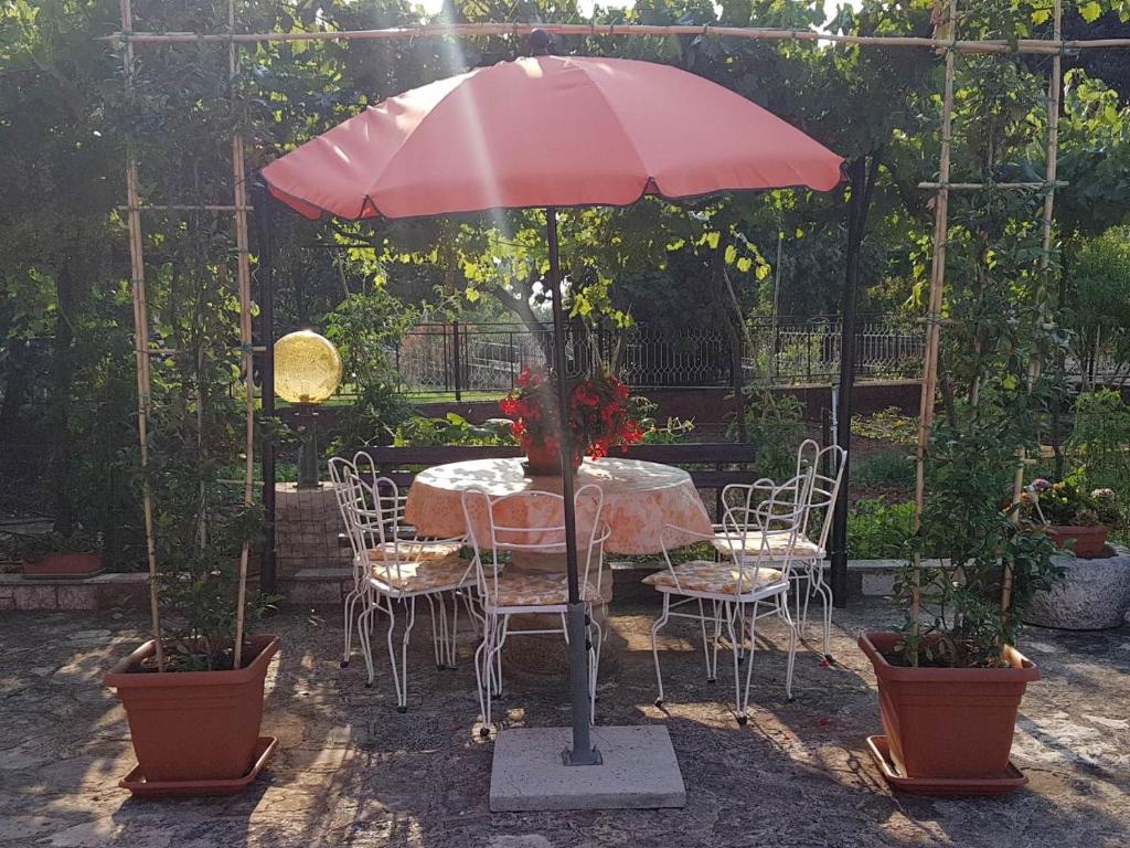 Vonkajšia záhrada v ubytovaní Apartment Parenzana Bibali 65 A 52460-Buje