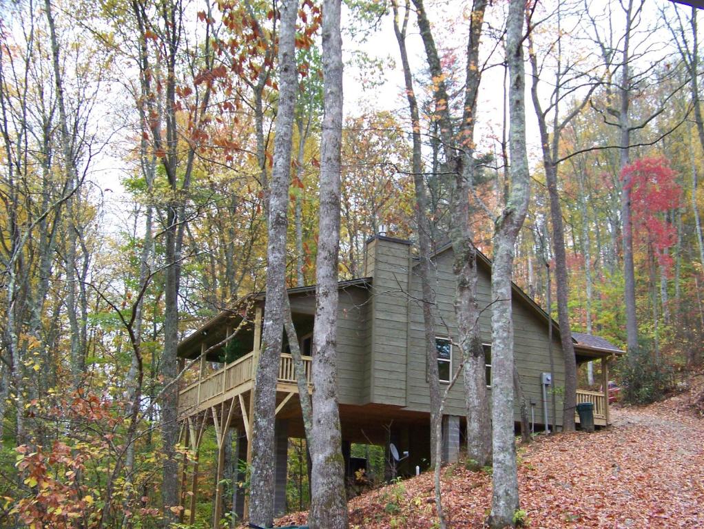 a log cabin in the woods with trees at The Dogwood Breeze in Aquone