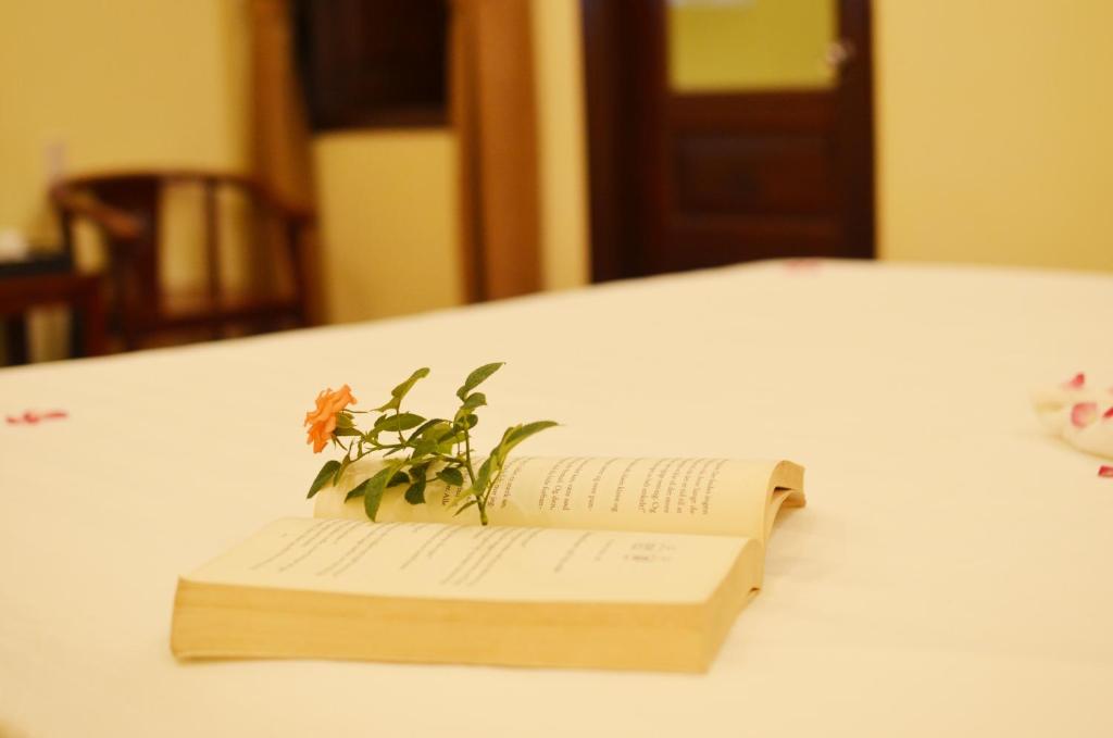Postel nebo postele na pokoji v ubytování Panda Garden Homestay