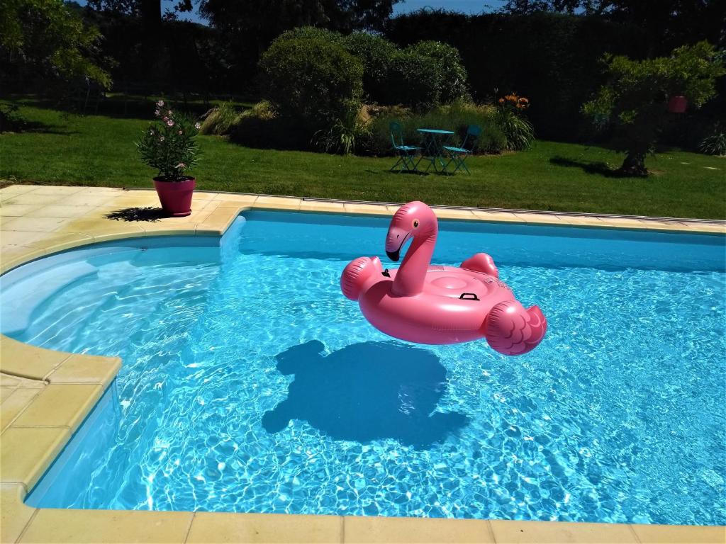 a pink inflatable pig floating in a swimming pool at Villa La Clef Des Champs in Chailly-en-Bière