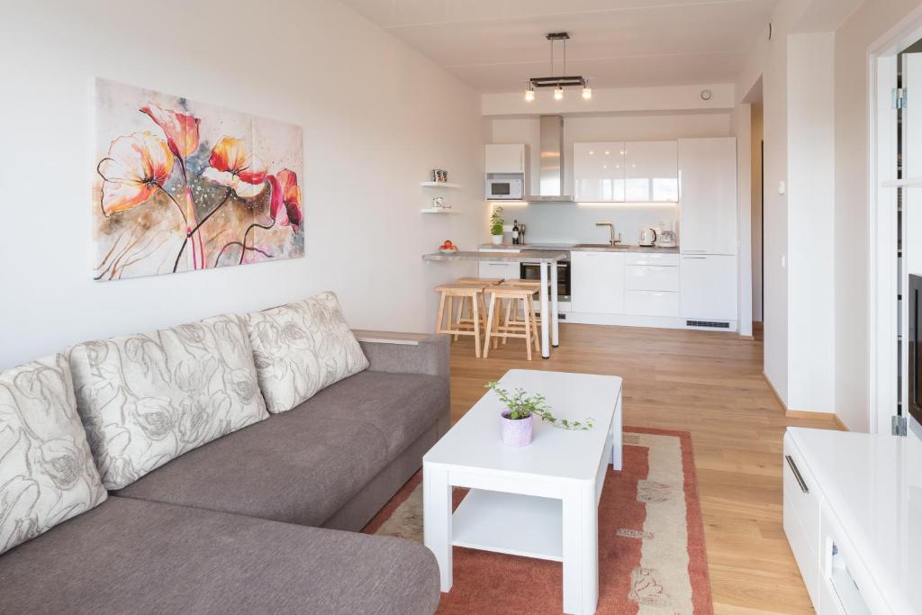 Kuchyň nebo kuchyňský kout v ubytování Cosy city apartment