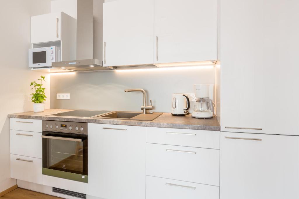 Kuchyň nebo kuchyňský kout v ubytování Cosy city apartment