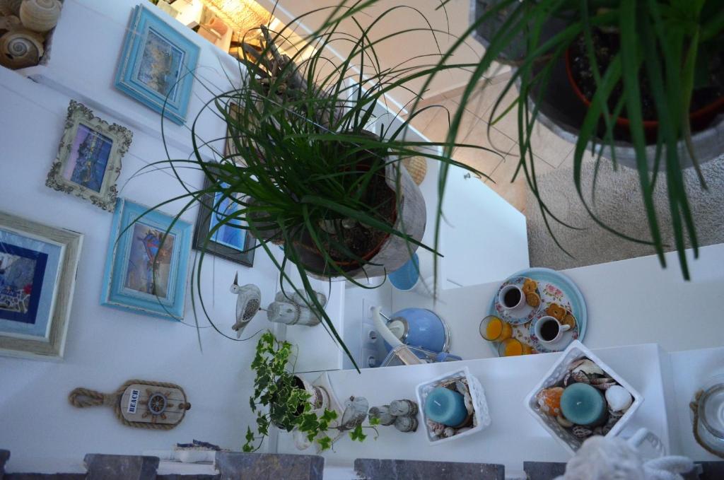 Fotografie z fotogalerie ubytování Hotel Kastro v destinaci Skiathos