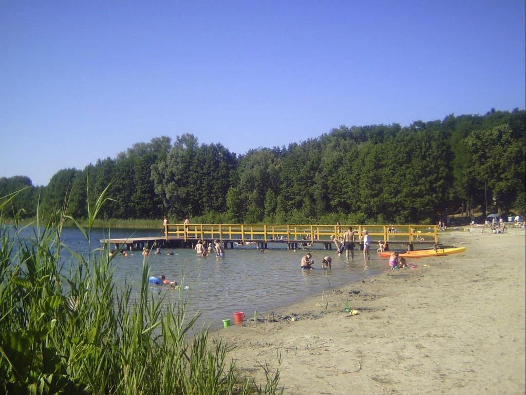 a group of people in the water at a beach at Ferienhaus nahe vom Weissen See in Wesenberg
