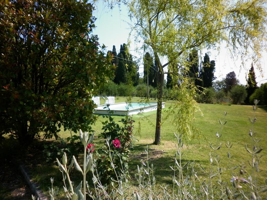 A garden outside Villa Jolanda