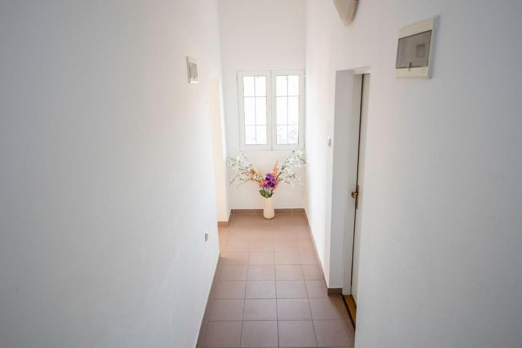 Fotografie z fotogalerie ubytování Guesthouse Šime v destinaci Kolan