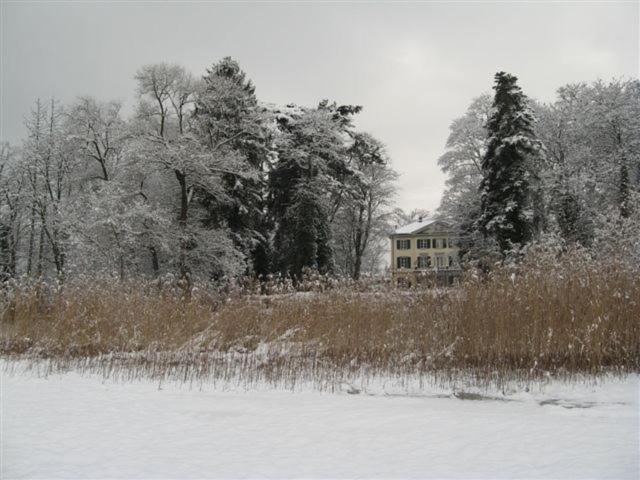 Bodensee Moosburg Biohof am See v zimě