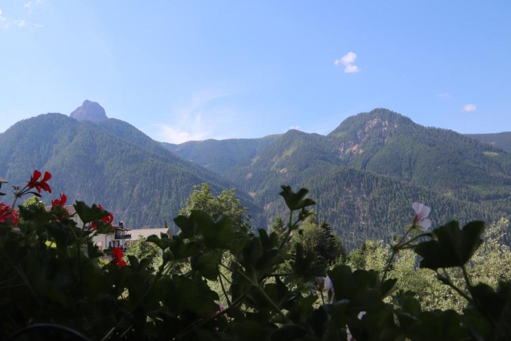 Paisaje cerca de este hostal o pensión