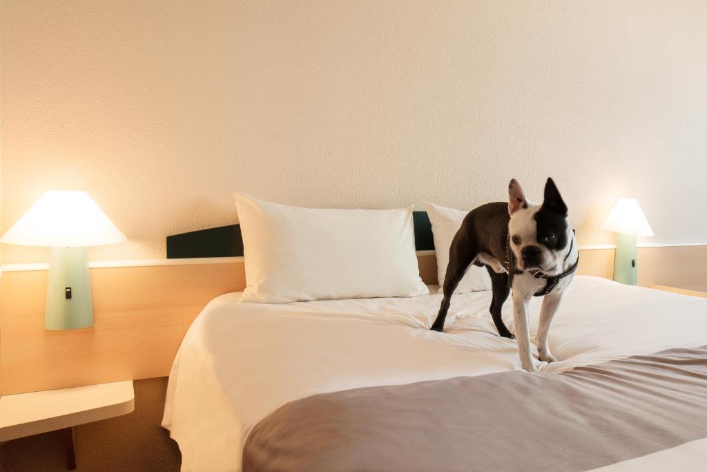 Hotel Ibis Lódz Centrum - Resim 37