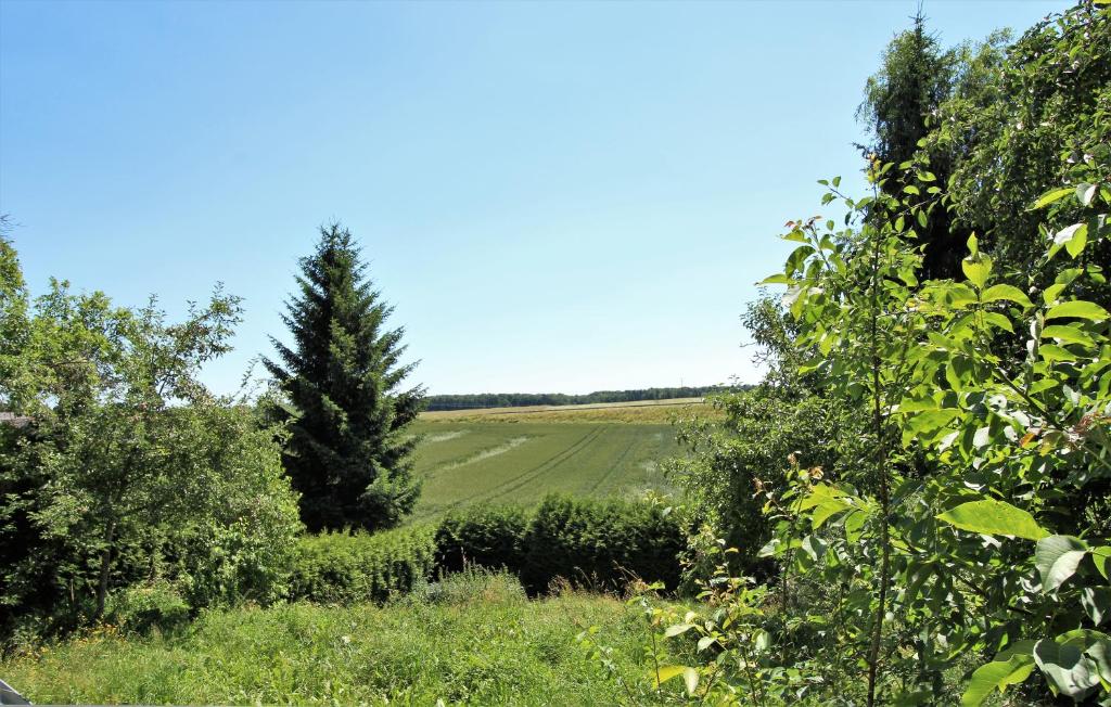 uma vista para um campo a partir da floresta em Workers Apartments Laichingen-Suppingen em Suppingen