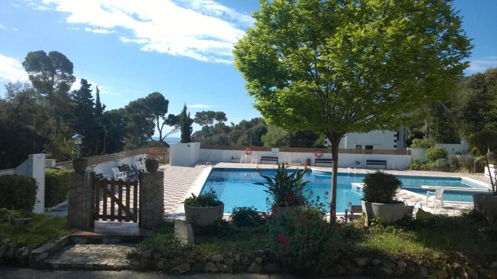 Villa con piscina y árbol en Calella golfet sobremar en Calella de Palafrugell