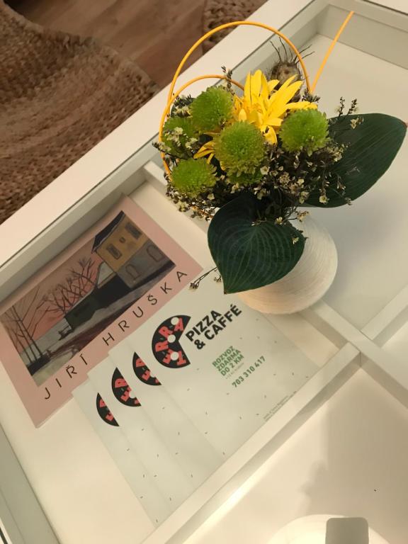 Zdjęcie z galerii obiektu Budyně Apartment w mieście Budyně nad Ohří