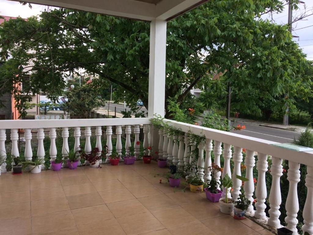 Balkón nebo terasa v ubytování Natia Guest House