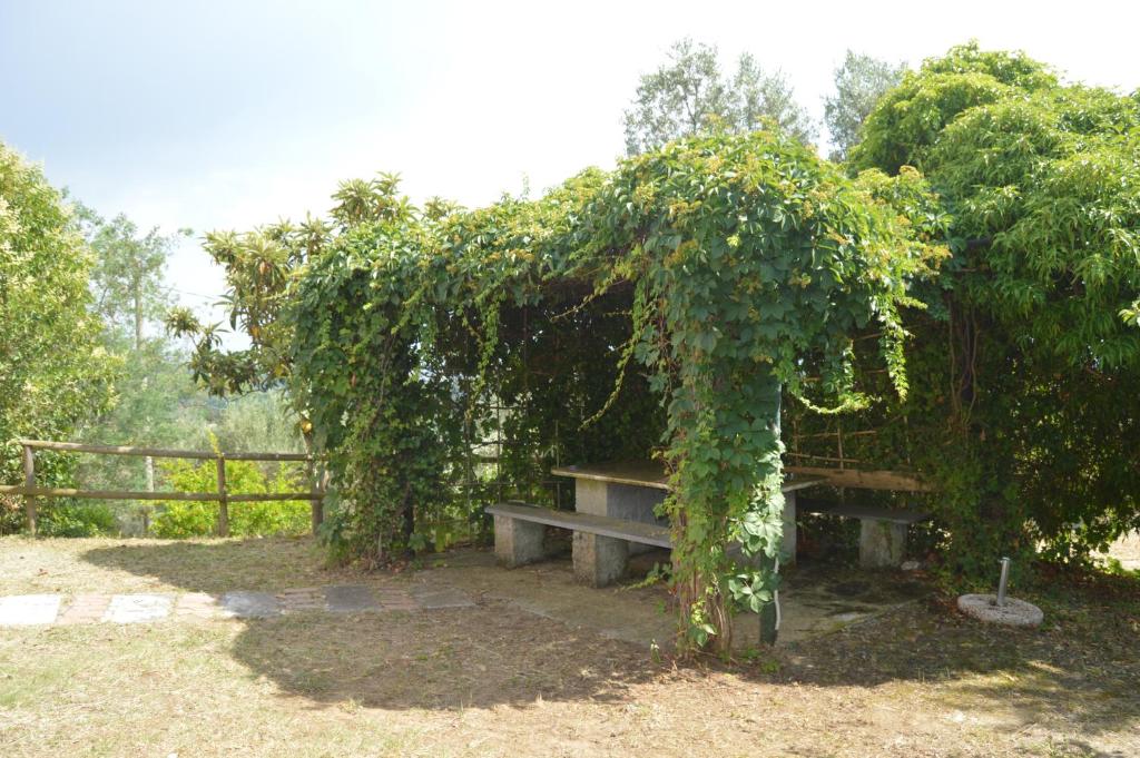 Ogród w obiekcie Casa Sarticola
