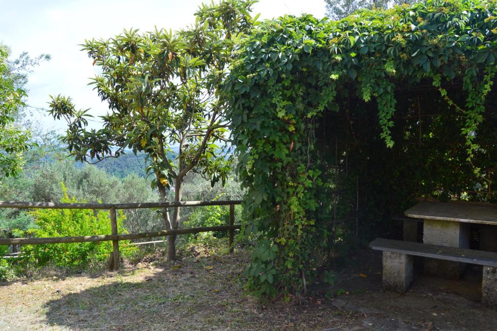 Ogród w obiekcie Casa Sarticola