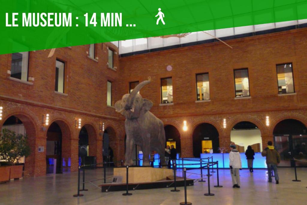 L'authentique - Coeur de ville - 17