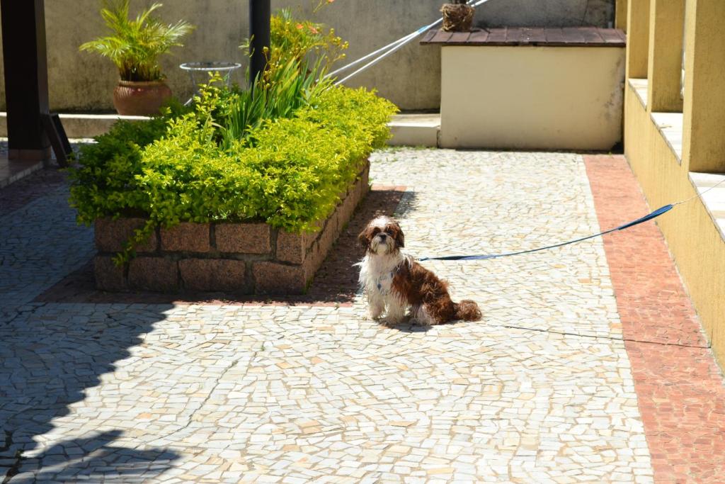 Residencial Doce Marina