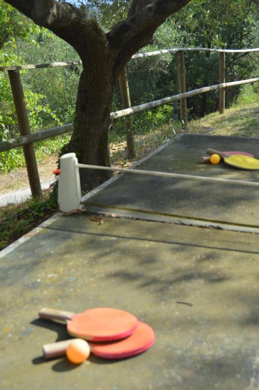 Tenis stołowy w obiekcie Casa Sarticola lub pobliżu