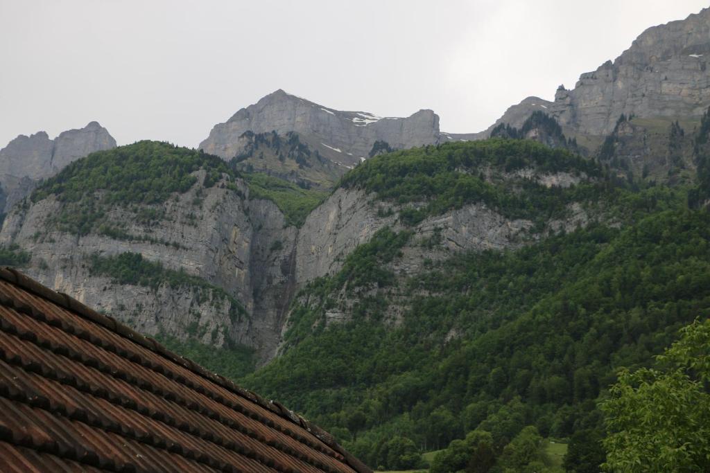 Příroda nedaleko hotelu