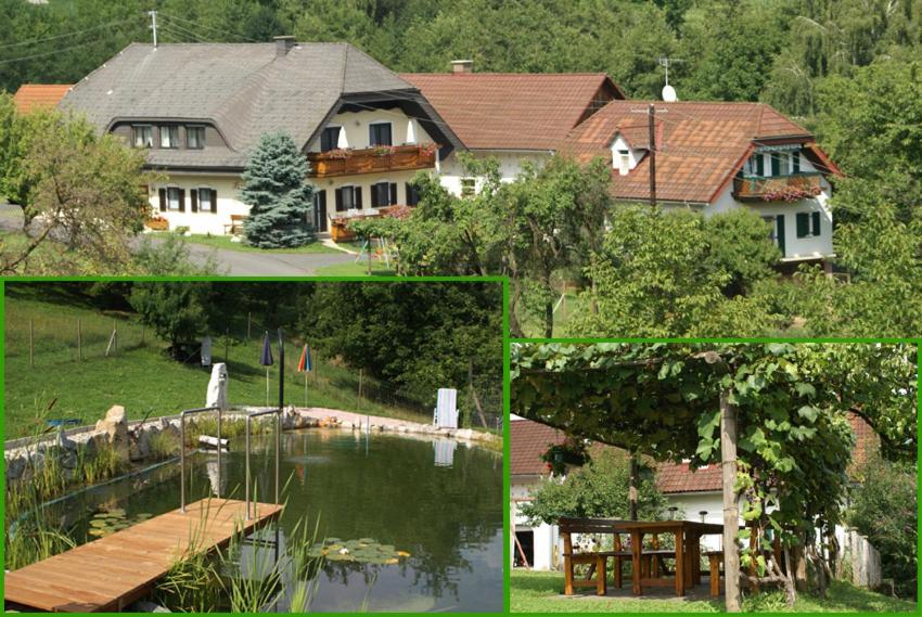 バート・グライヒェンベルクにあるHaus Gertraudの家と湖の絵画のコラージュ
