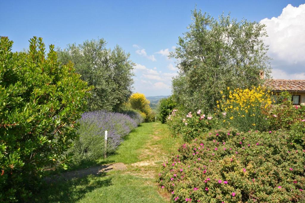 Zahrada ubytování Podere Il Pino