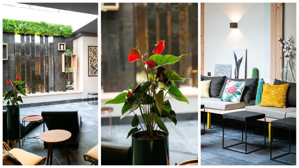 Alex Hotel & Spa - Resim 22