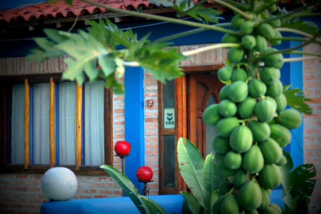  Azur Guesthouse