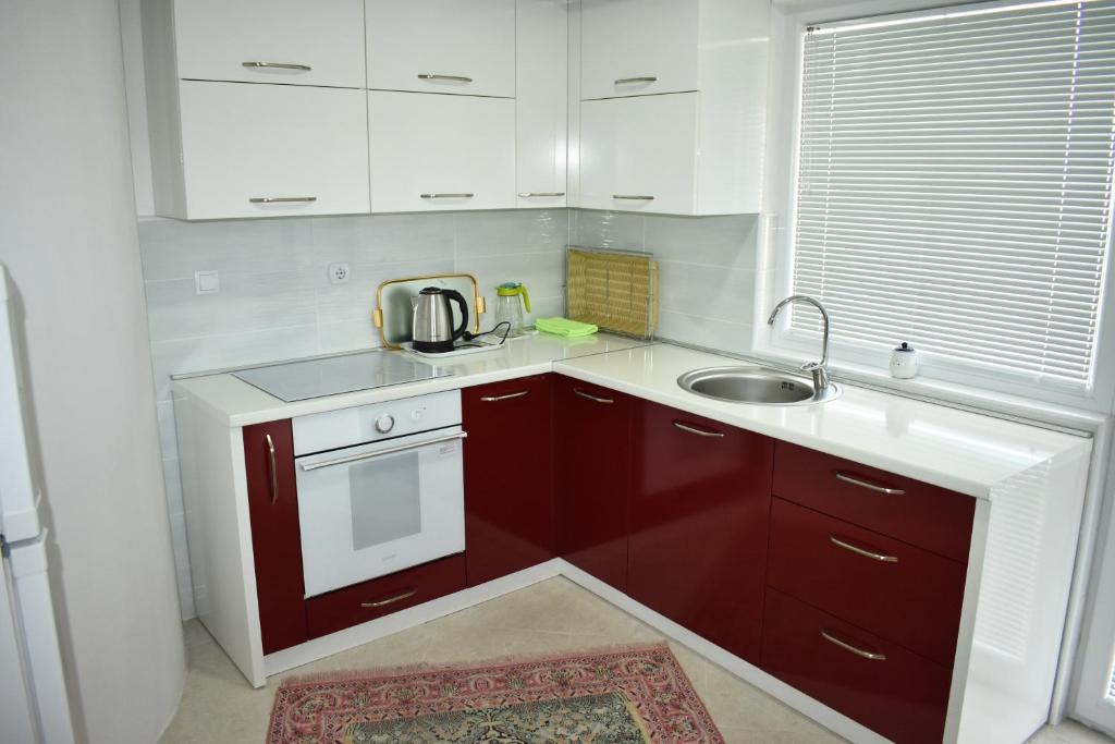 Kuchyň nebo kuchyňský kout v ubytování Guest House Aldin