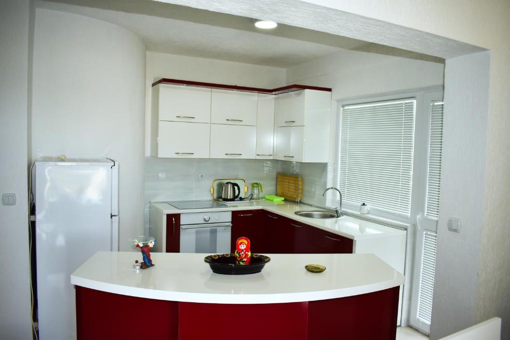 Kuchyň nebo kuchyňský kout v ubytování Guest House Aldin