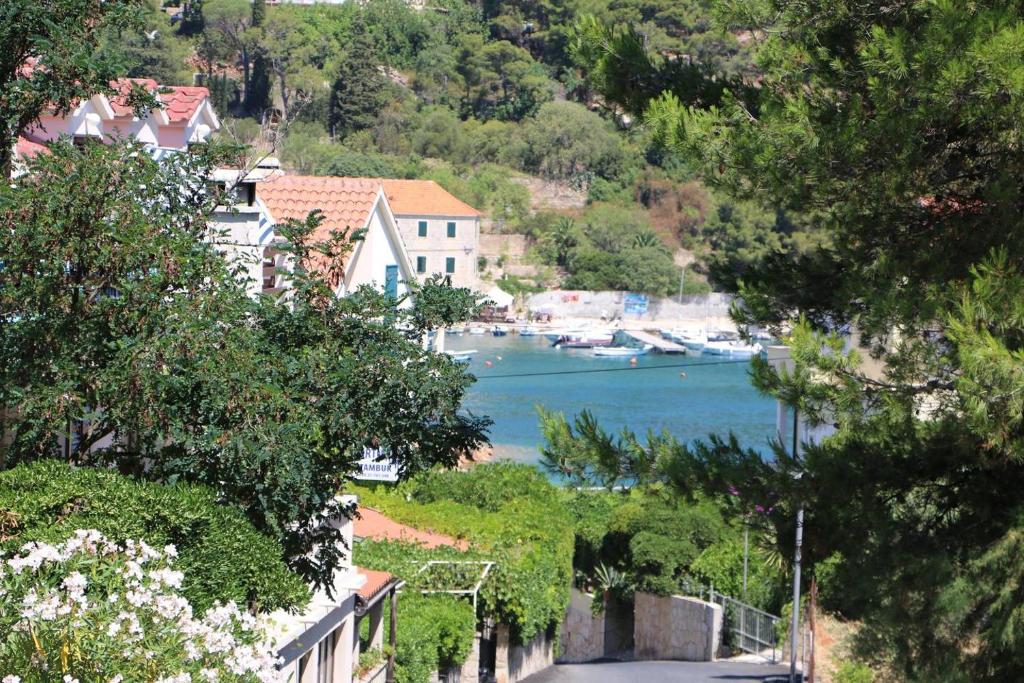 Príroda v okolí apartmánu