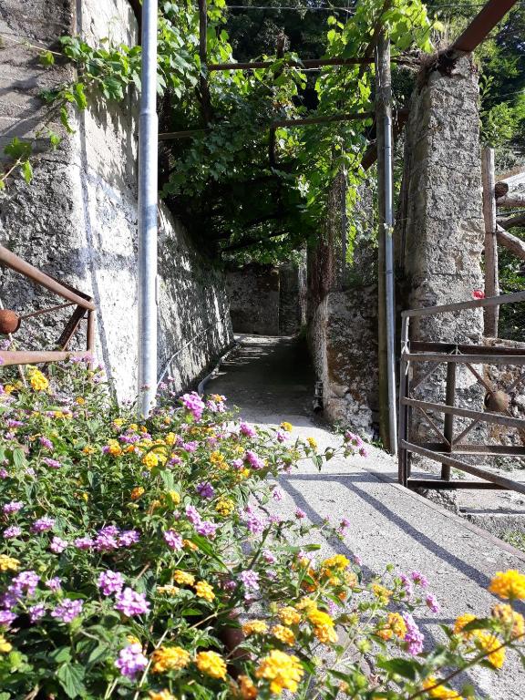 Zahrada ubytování Casa Clotide