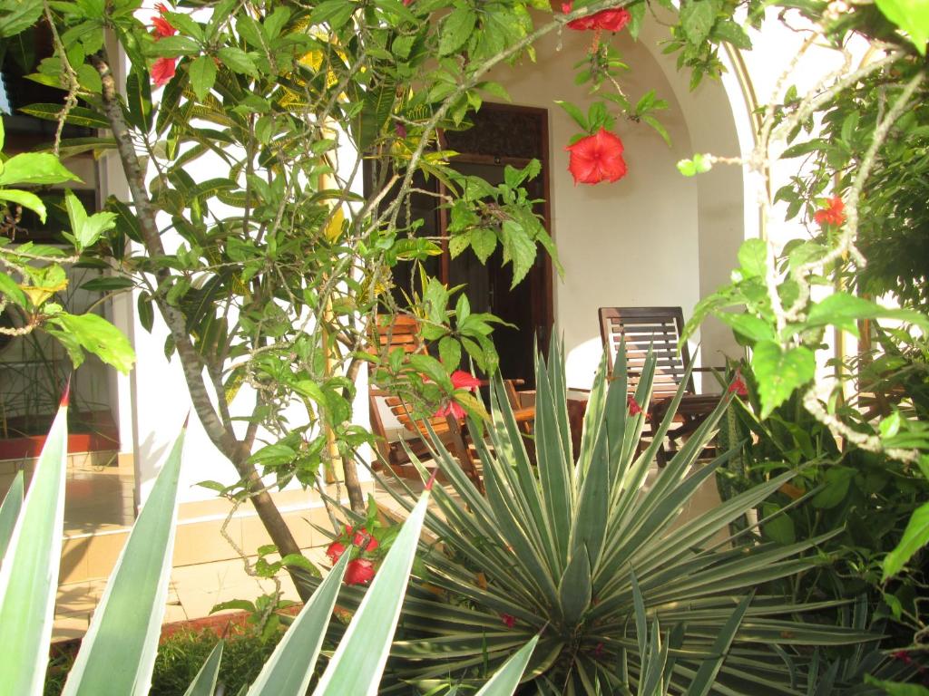 Zahrada ubytování Tandem Guesthouse