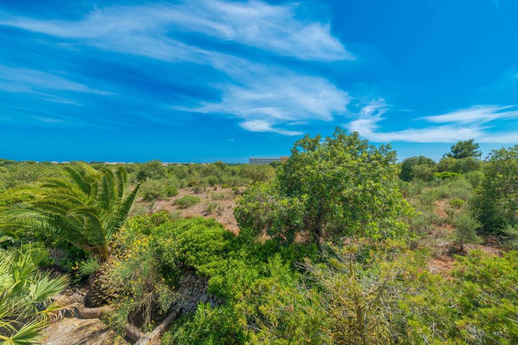 Barcelo-Danus, Portocolom – Precios actualizados 2023