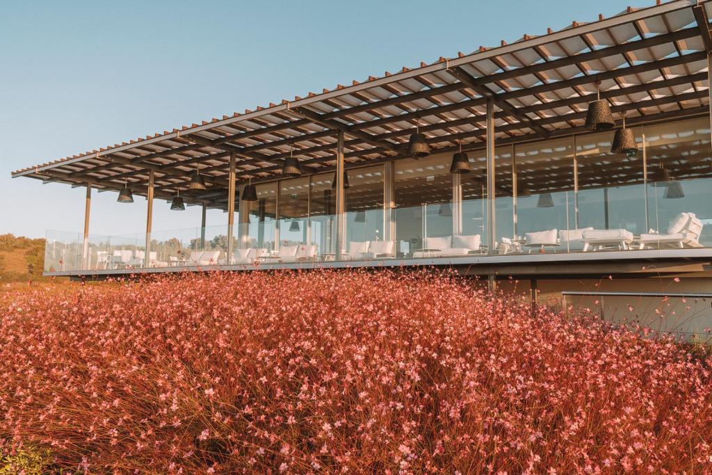 a building with a field of flowers in front of it at Palmares Beach House Hotel - Adults Only in Lagos