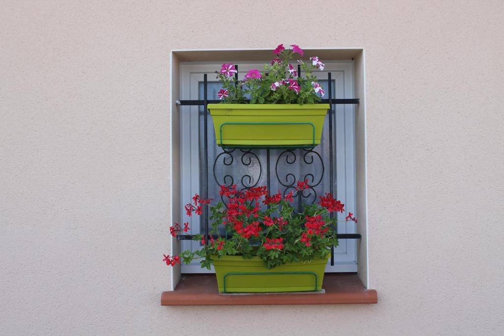Fotografie z fotogalerie ubytování B&B La Garona v destinaci Saint-Nicolas-de-la-Grave