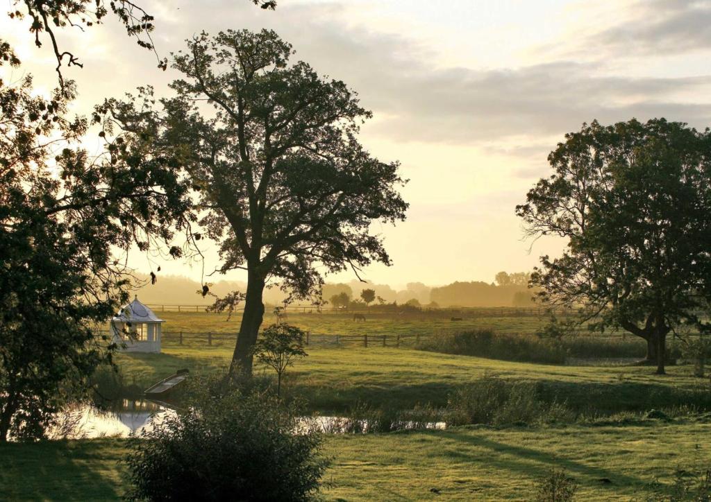 a field with a tree and a house in the distance at FerienGut Dalwitz Alte Stellmacher in Walkendorf