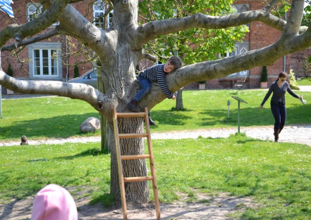 a young boy climbing a tree in a playground at FerienGut Dalwitz Ferienhaeuser in Walkendorf