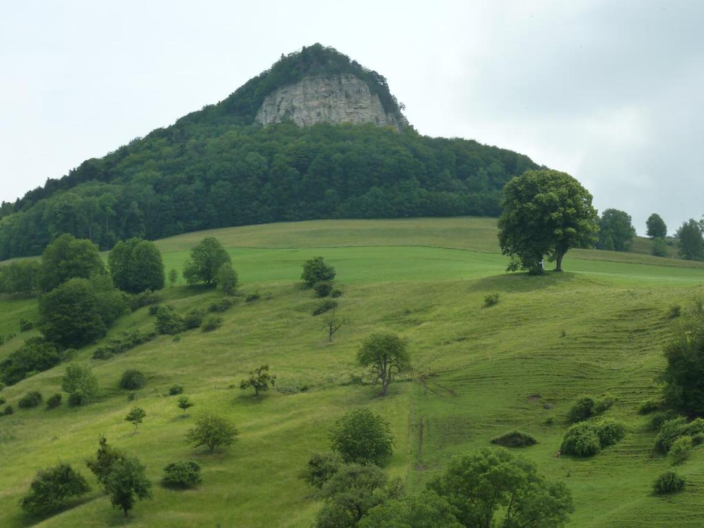 Natuurlandschap vlak bij het hotel