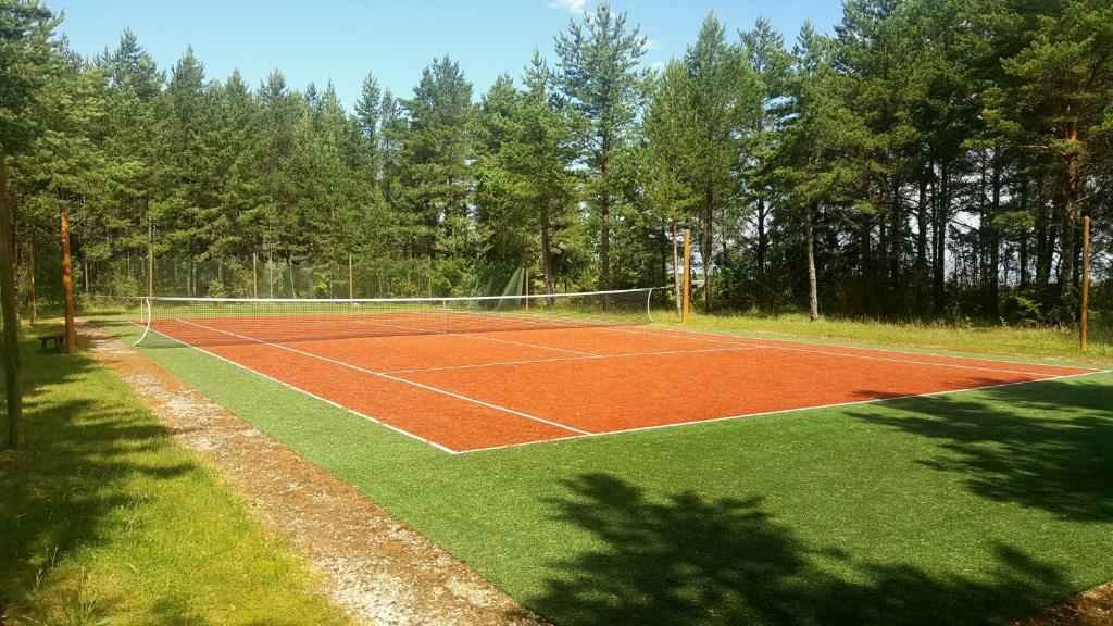 Tenis a/nebo squash v ubytování Ungru Guesthouse nebo okolí