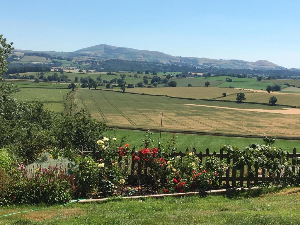 een tuin met bloemen en een hek in een veld bij The View in Welshpool