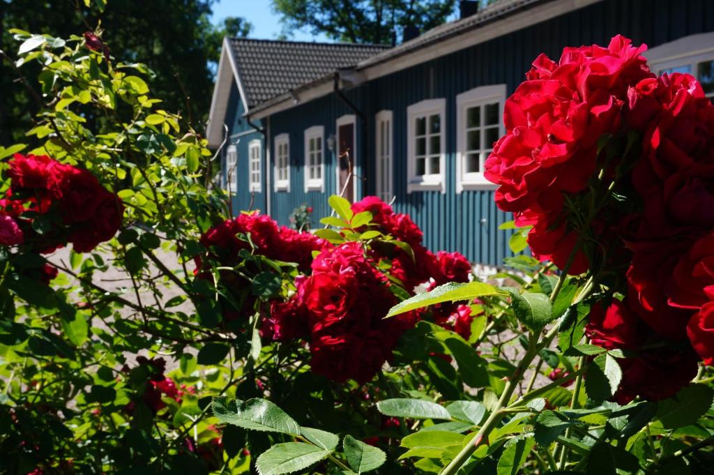 Zahrada ubytování Bolmsö B&B
