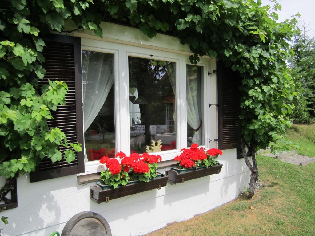 Zahrada ubytování Haus Holunder Weissbriach
