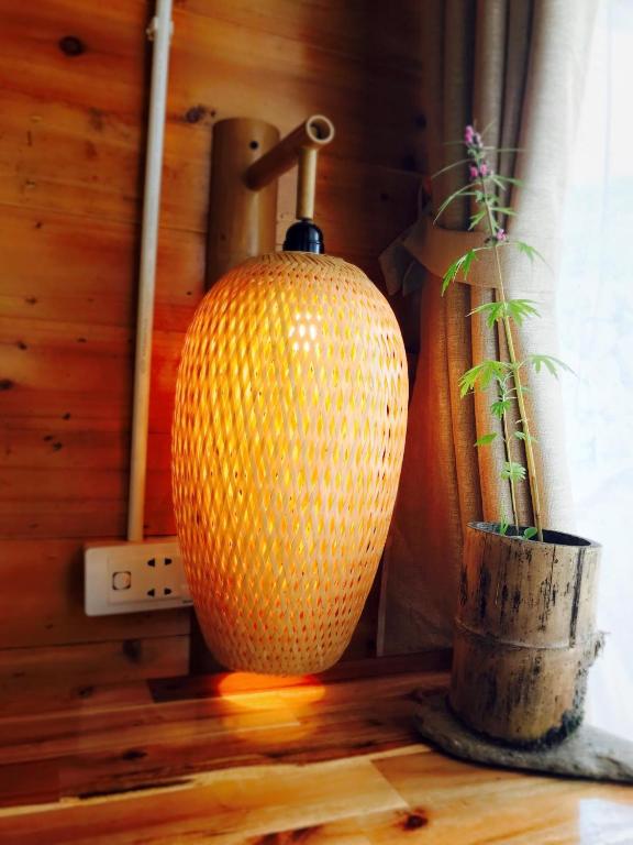 Fotografie z fotogalerie ubytování D&D Eco Sapa v destinaci Sa Pa
